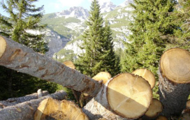 Hütten auf der Turracher Höhe
